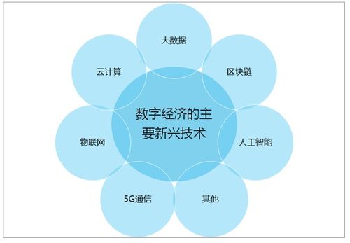 2021-2027年中國數字經濟行業市場現狀調查及投資戰略咨詢報告